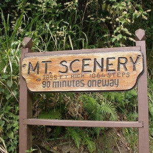 Mt. Scenery Hike Trail