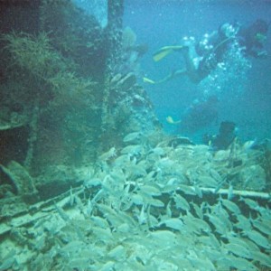 Benwood Wreck, Key Largo 4/08