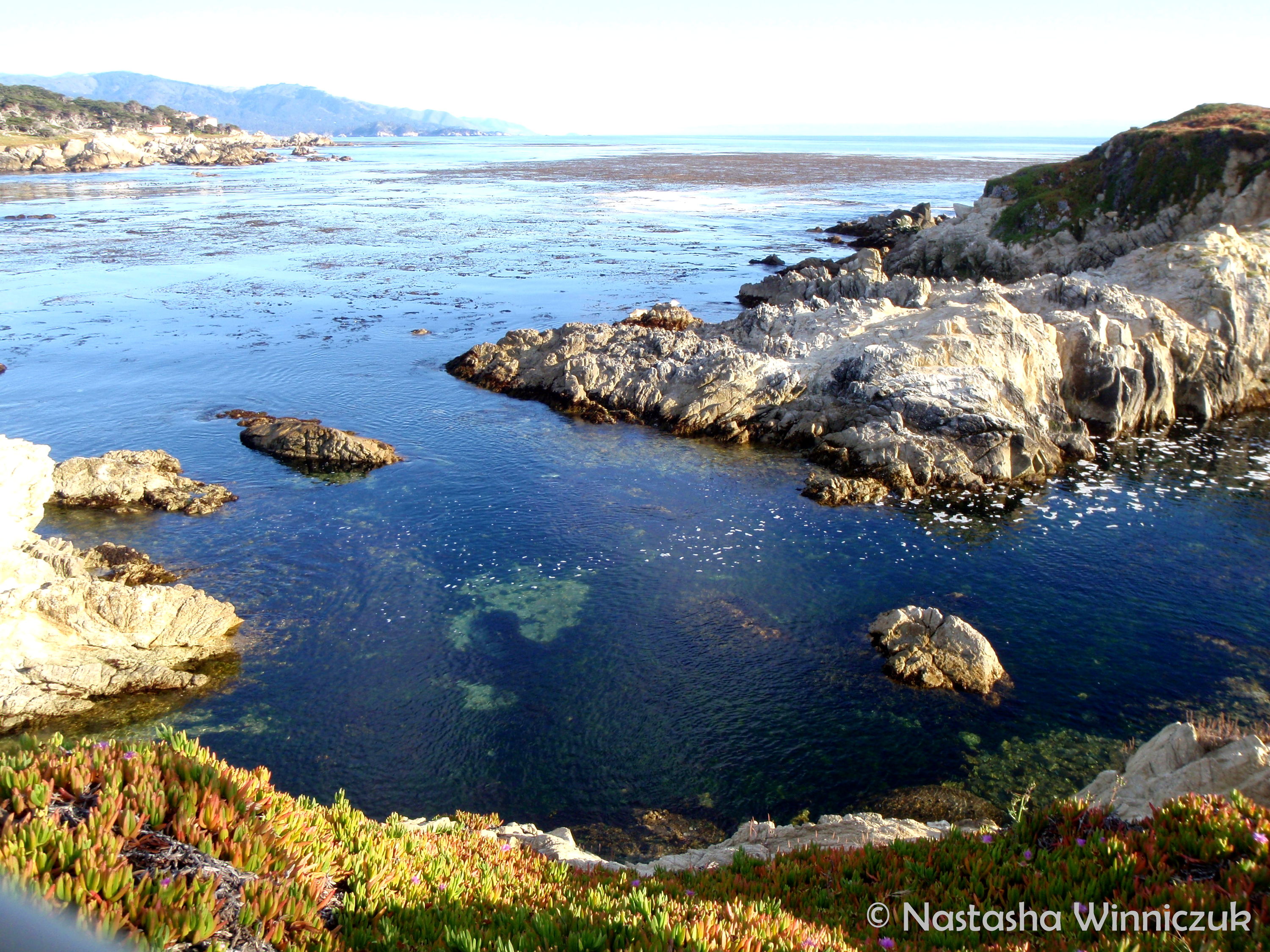 17 Mile Drive, California