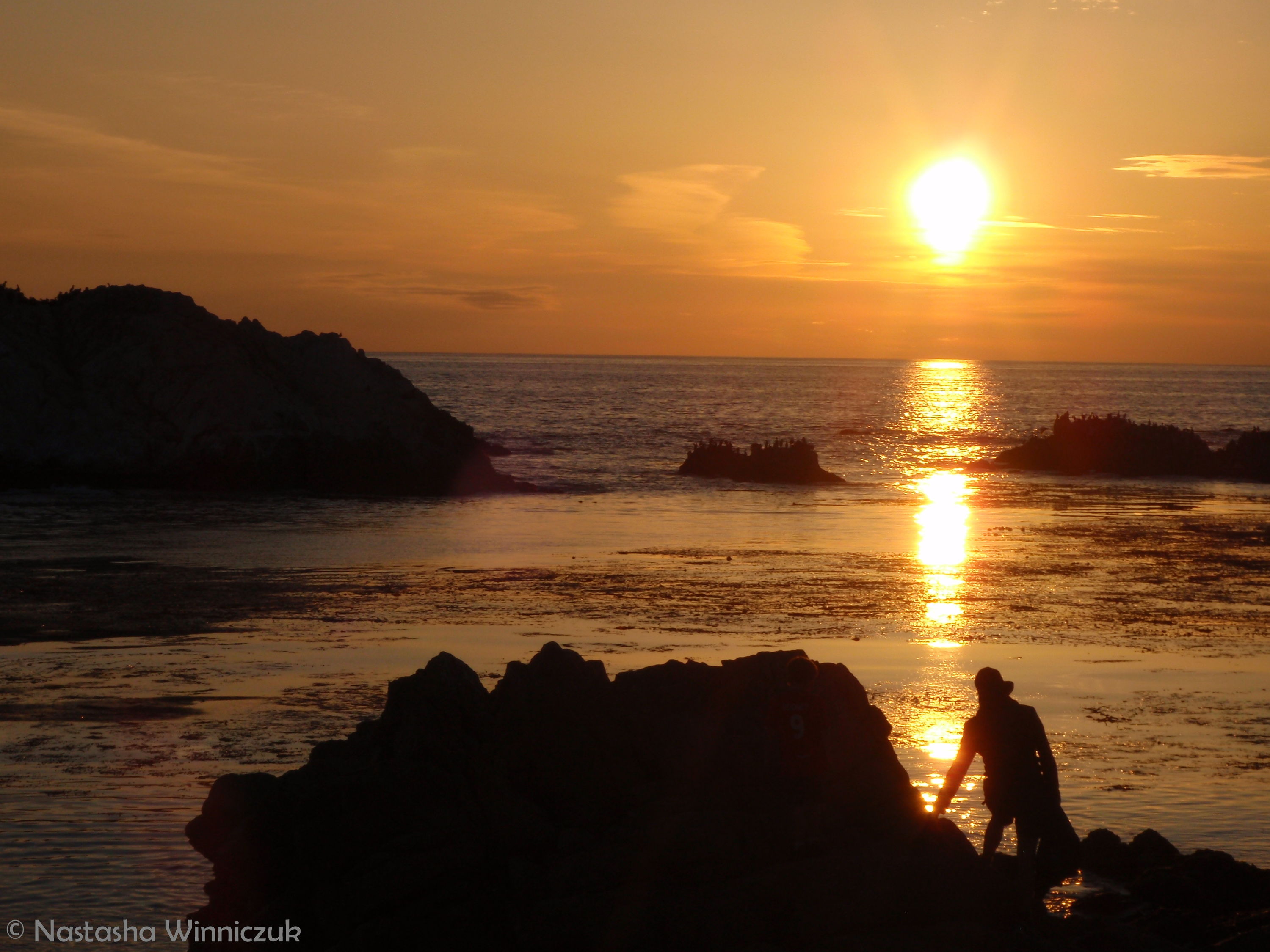 17 Mile Drive Sunset