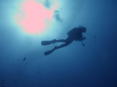 2007-08-20_Dive_12_-_San_Dimitri_Point_-_Diver_silhouette