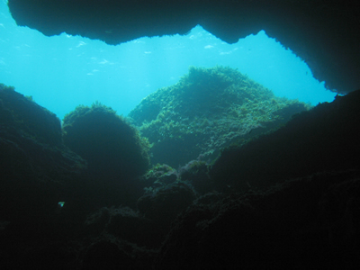 2007-7-25 Dive 2 Coral Bay - Overhang