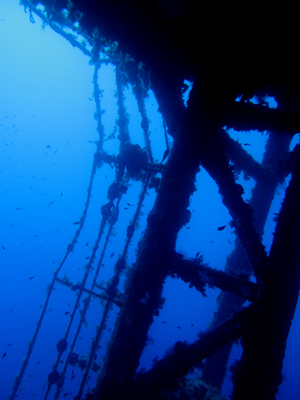 2007-7-26 Dive 3 Xenobia - Xenobia railings