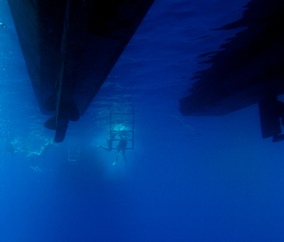 2007-7-26 Dive 4 Xenobia - Back to the boat