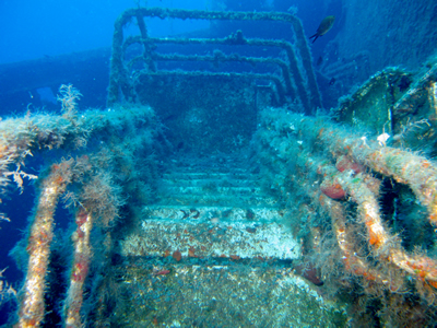 2007-7-26 Dive 4 Xenobia - Steps on the Xenobia