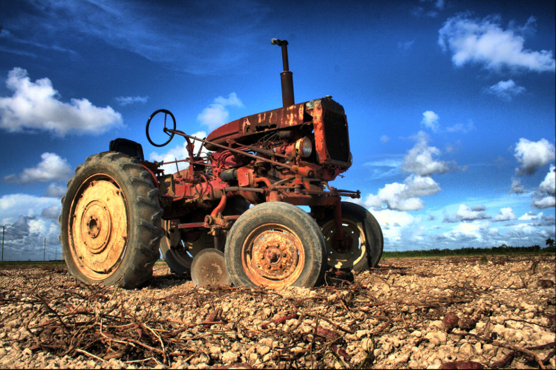 2009-05-17_17-17-12_HDR