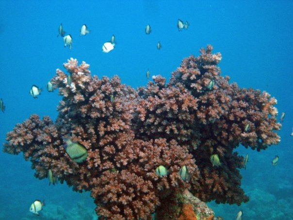 2009_06_22_LiveAboard16