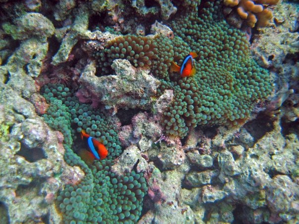 2009_06_22_LiveAboard19