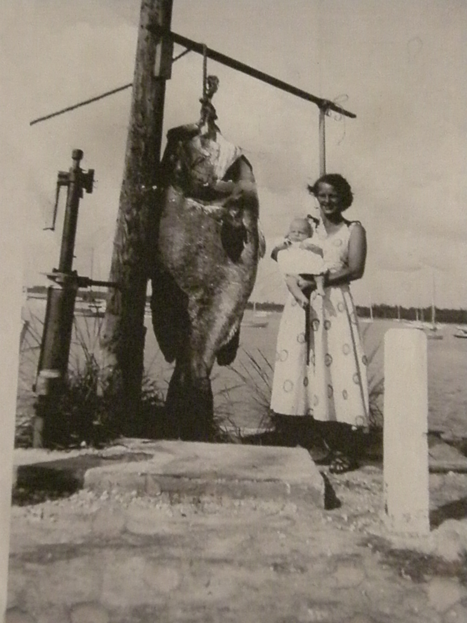 239 lb Warsaw