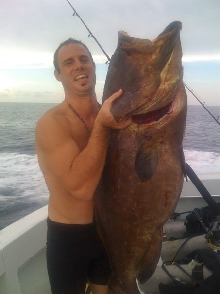 44lb Black Grouper spear fished. And eaten.