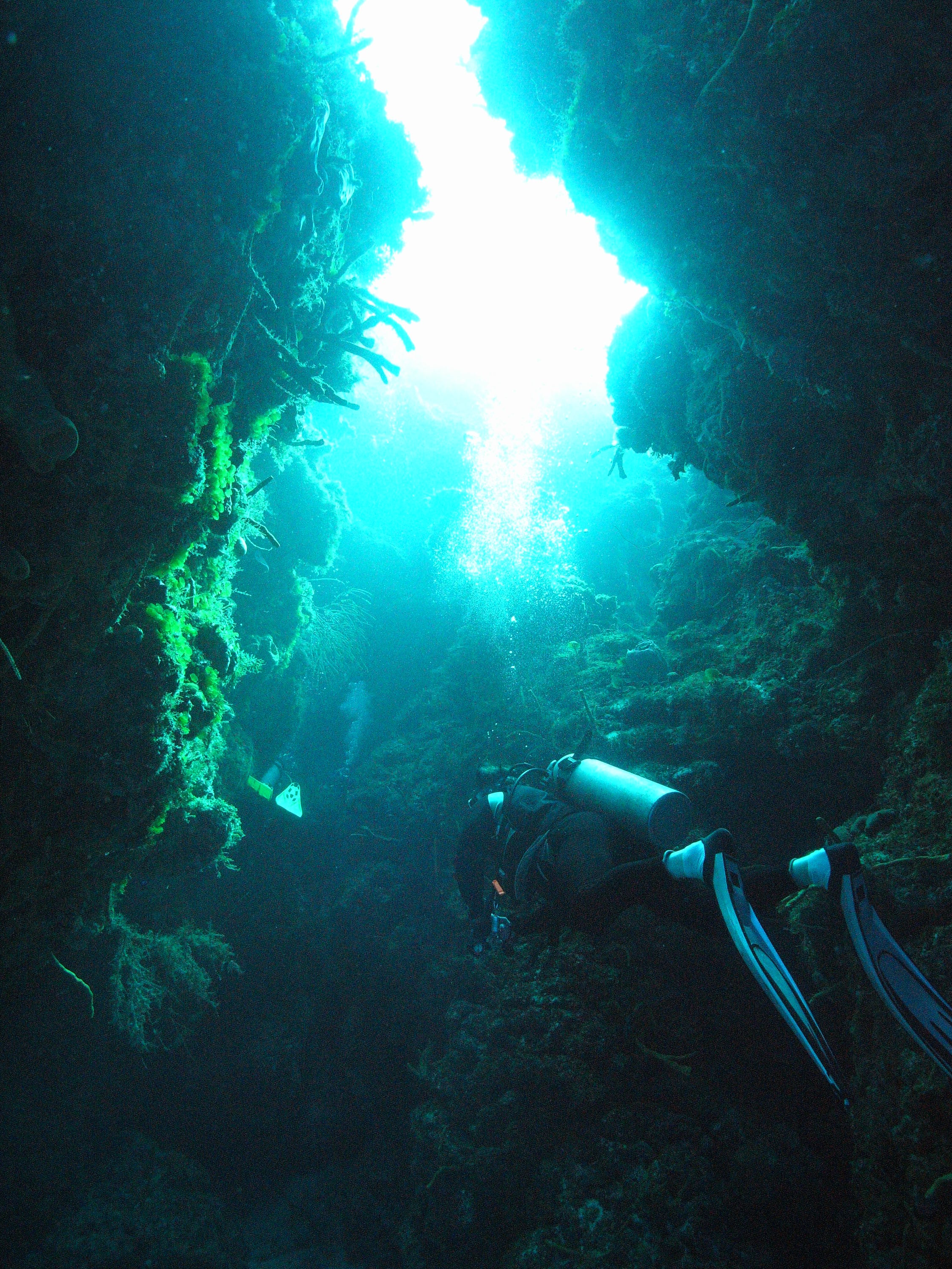 A Cozumel swim through