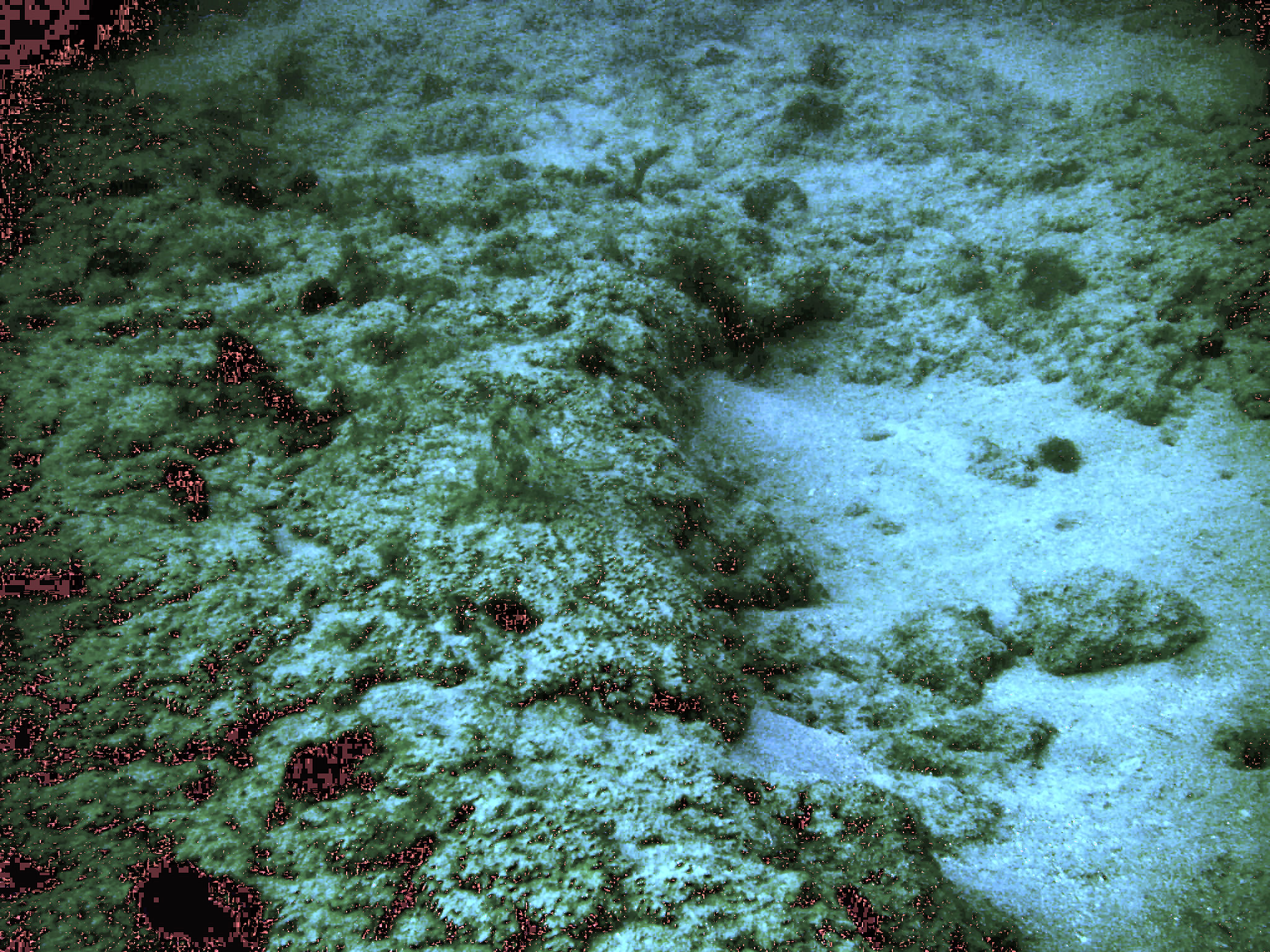 A lazy afternoon on First Reef, LBTS, Florida