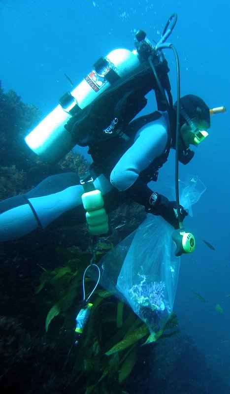 A SENIOR aquarist from LBAOP