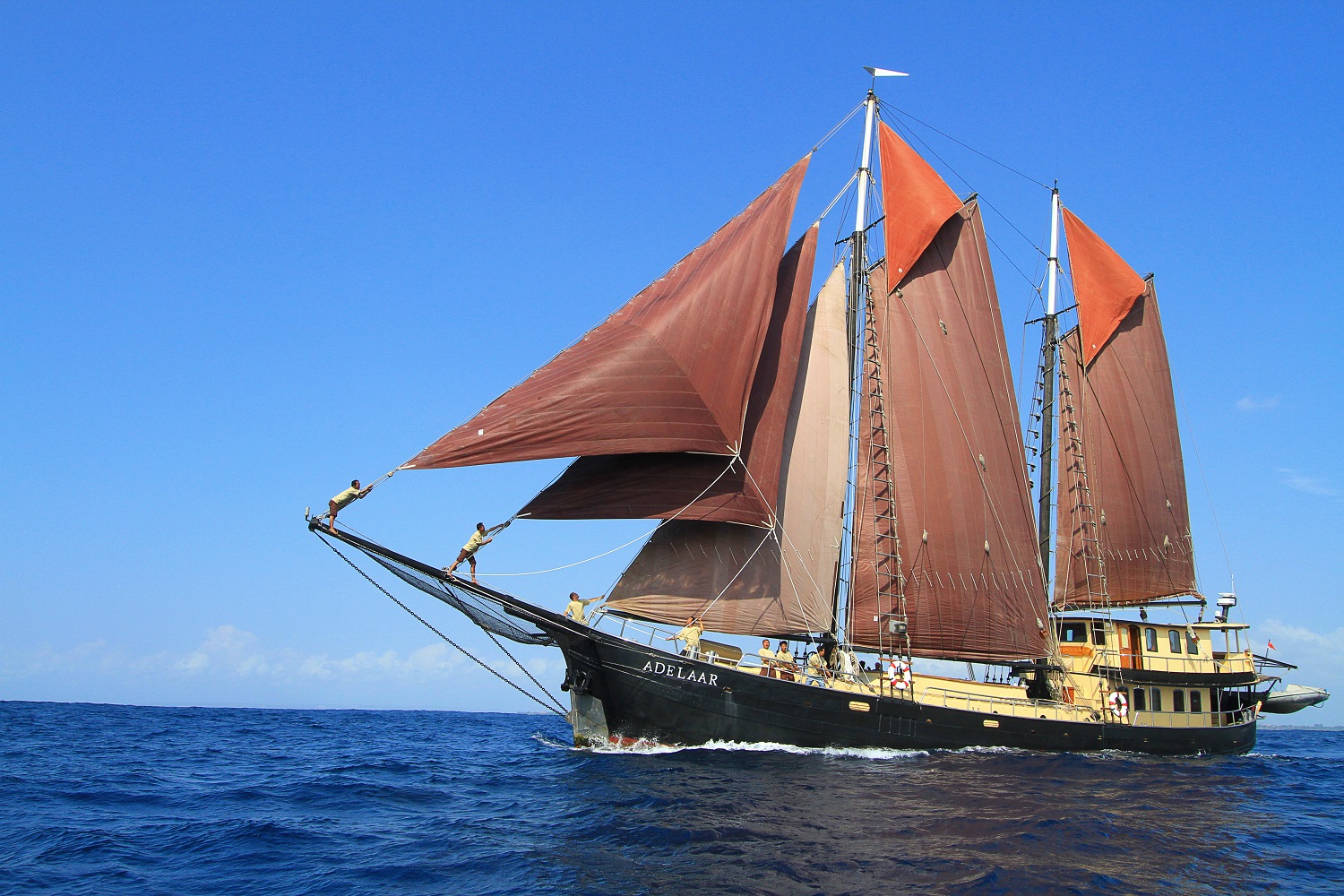 Adelaar-Full-Sail