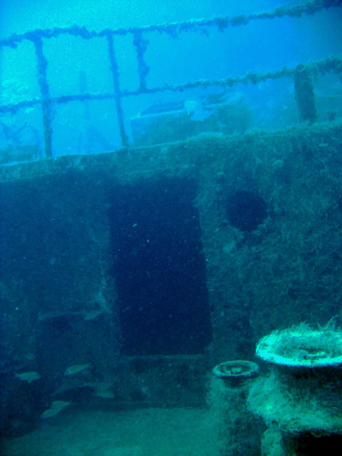 Adolph Busch Wreck, Looe Key, FL