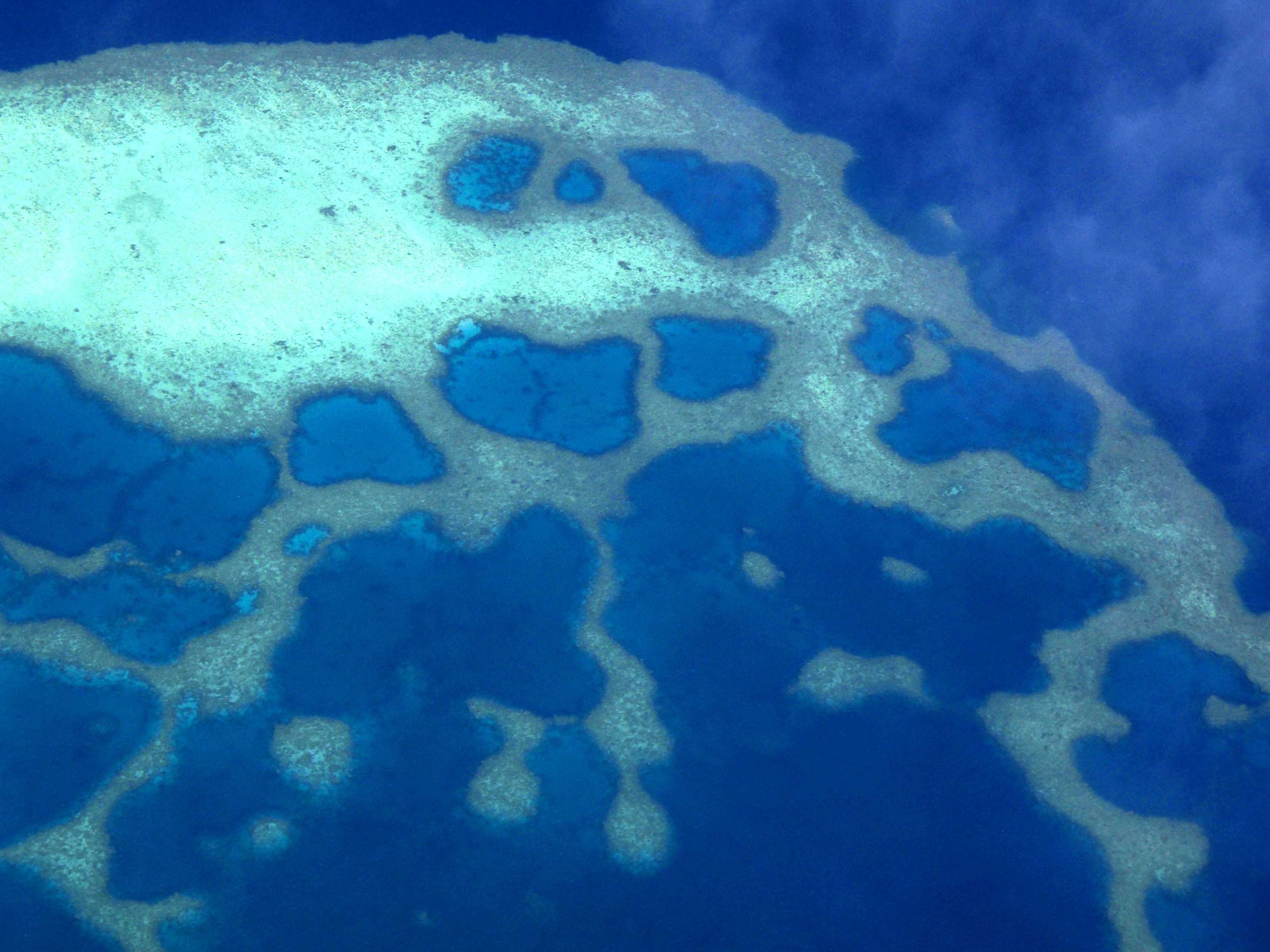 Aerial Reef