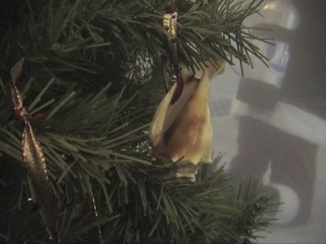 An Underwater Christmas - Decorative