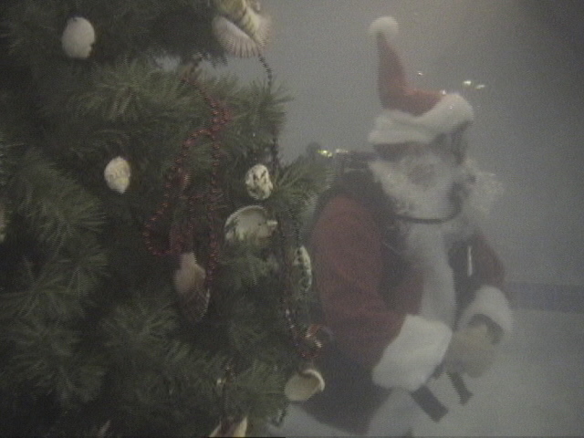 An Underwater Christmas - Santa Waiting