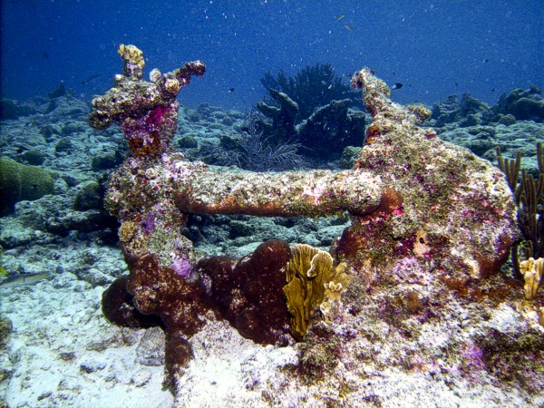 anchor3