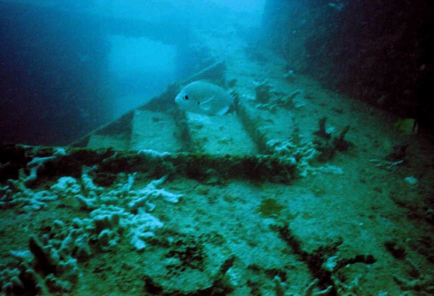 Ancient-Mariner Wreck Stairs