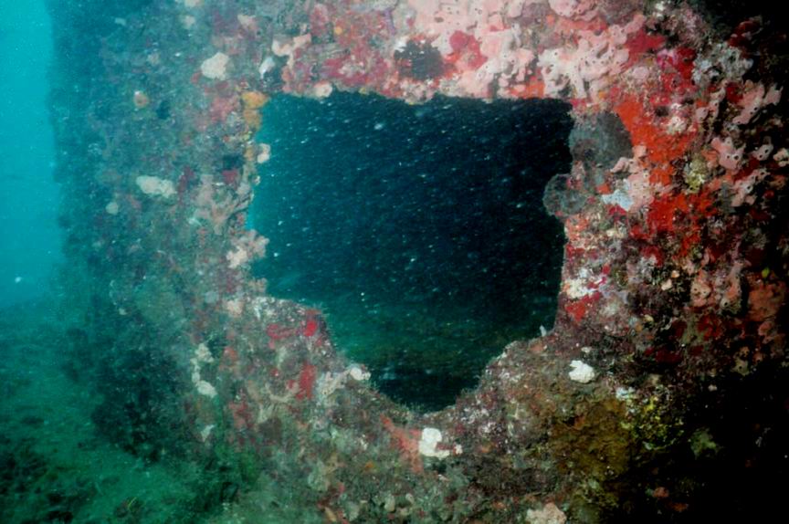 Ancient-Mariner Wreck Window