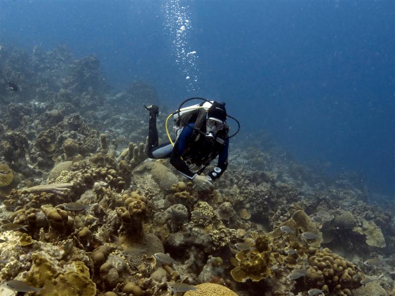 Andreas hovering over his house reef