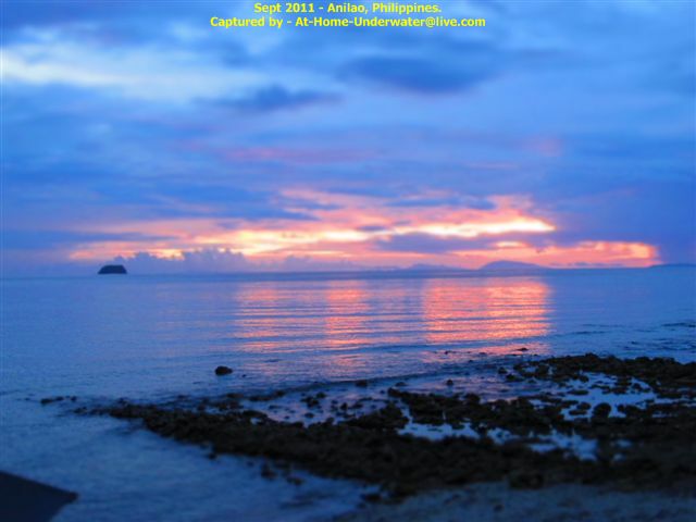 Anilao Sept 2011