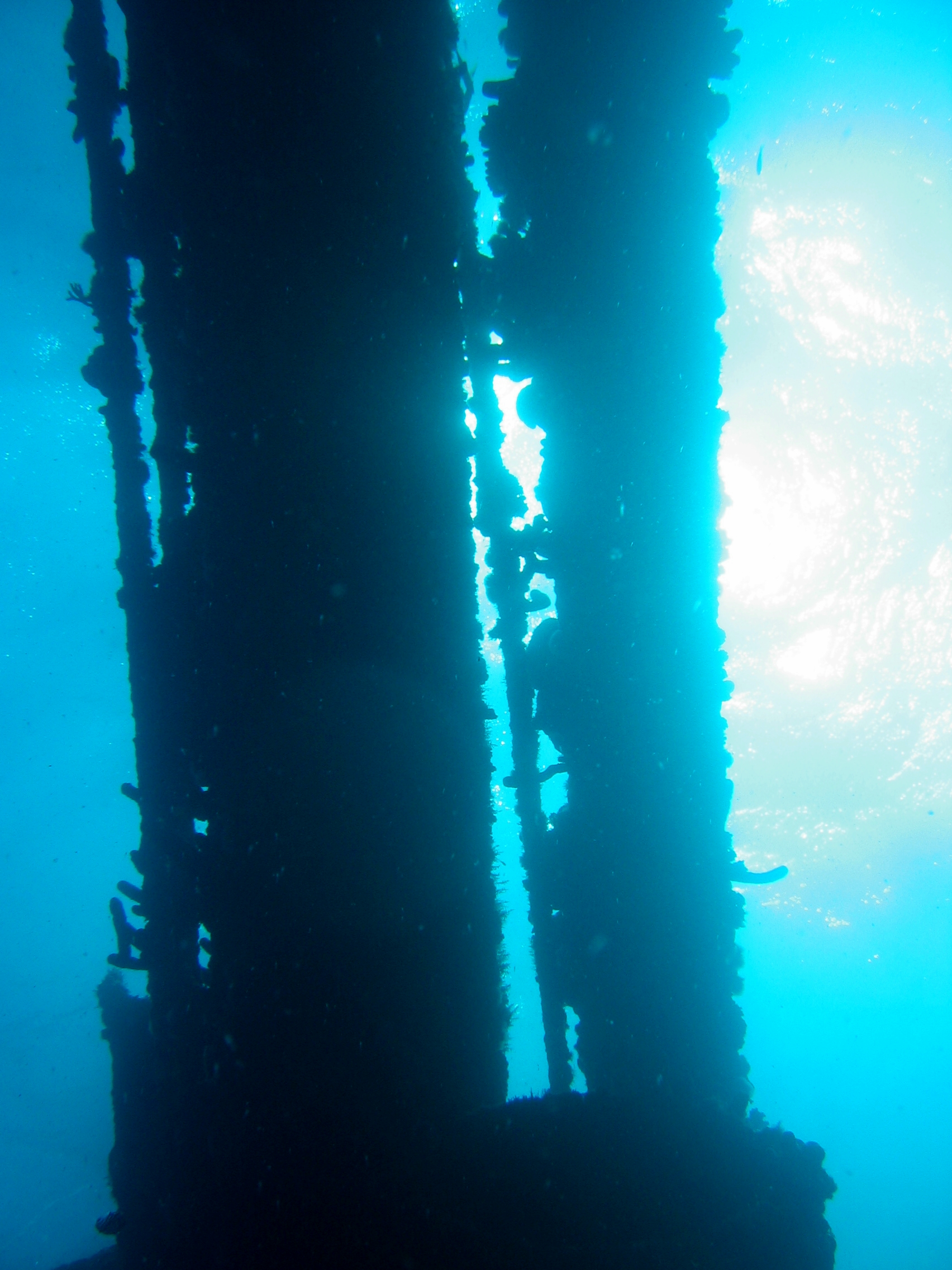 Antilla Wreck