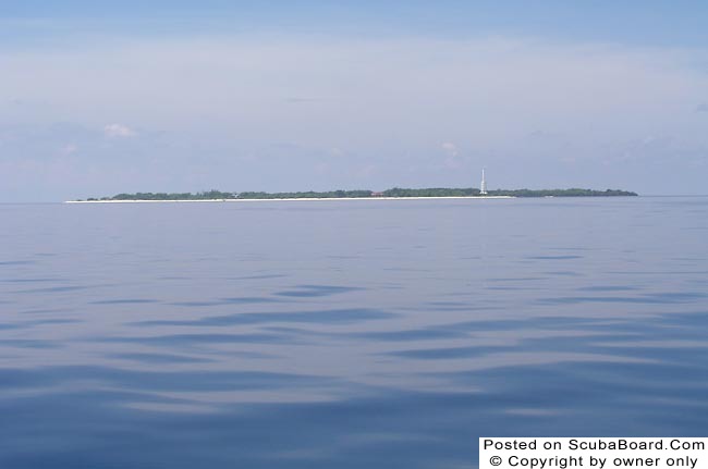 Apo Reef, Apo Island