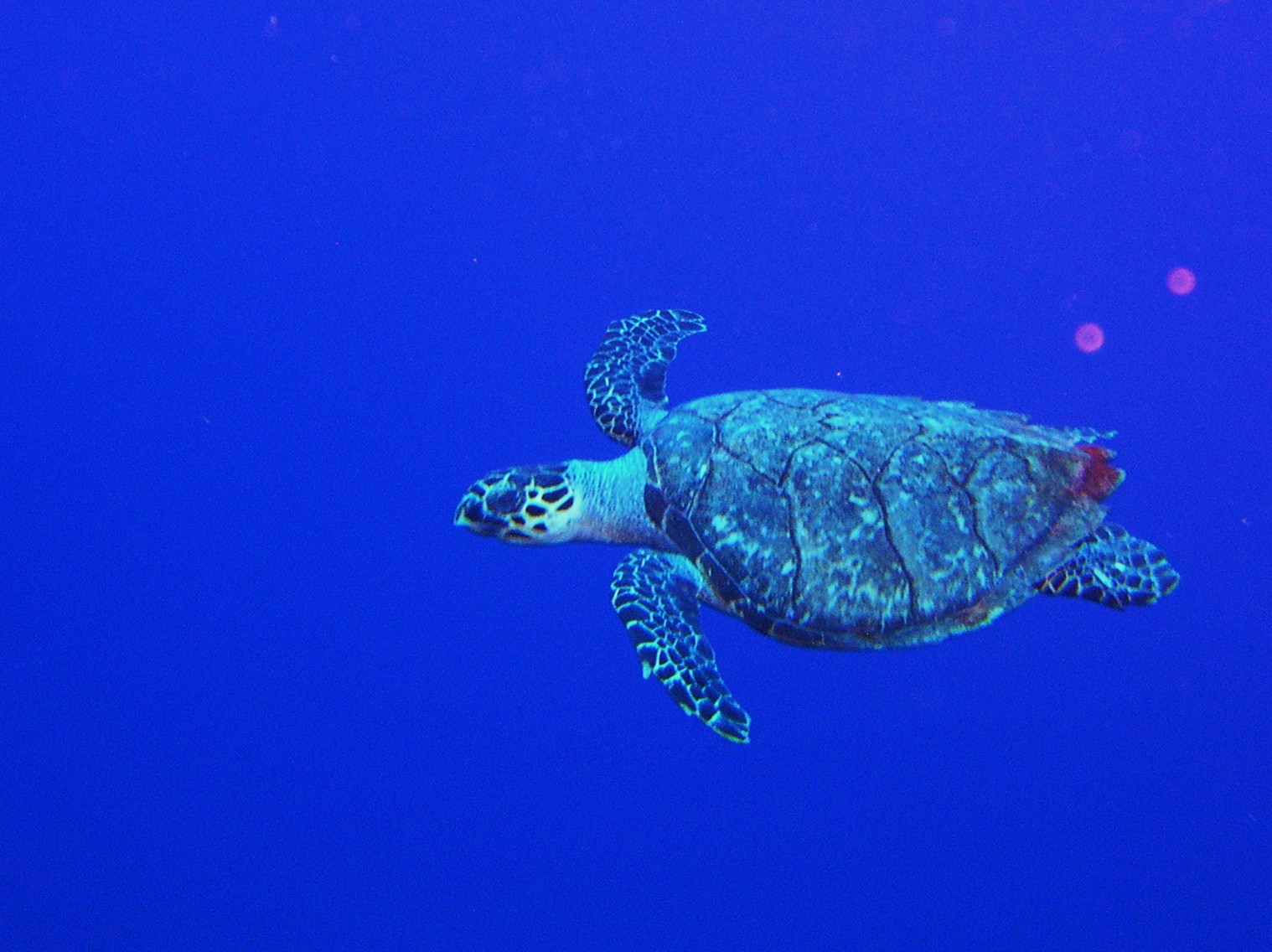 Around Cayman