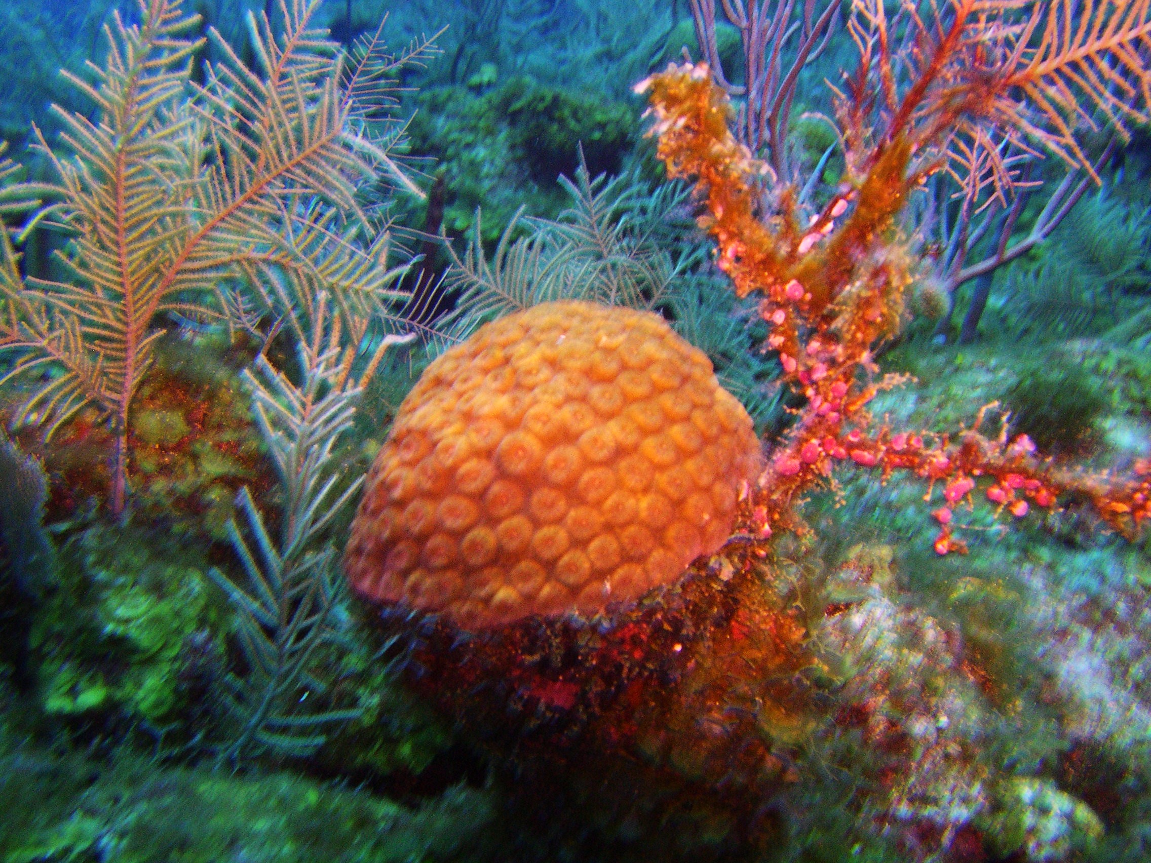 Around Cayman