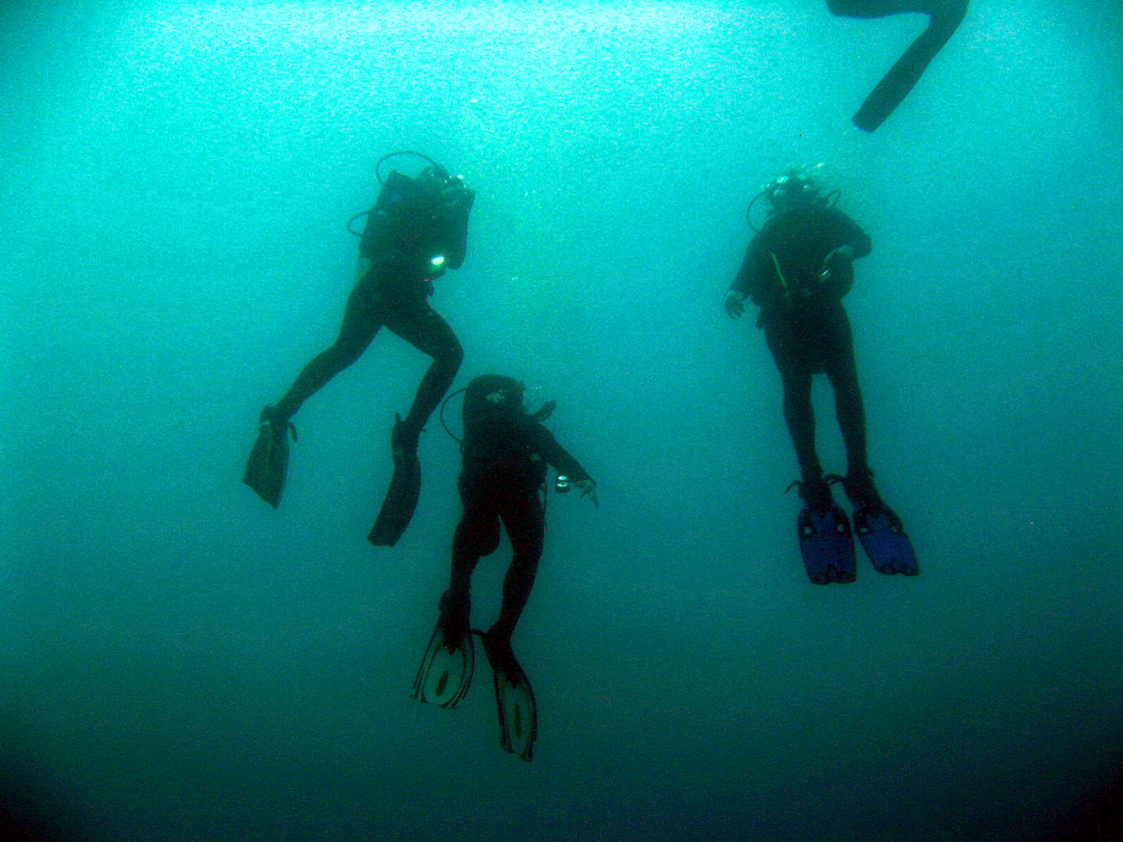 Ascending Divers