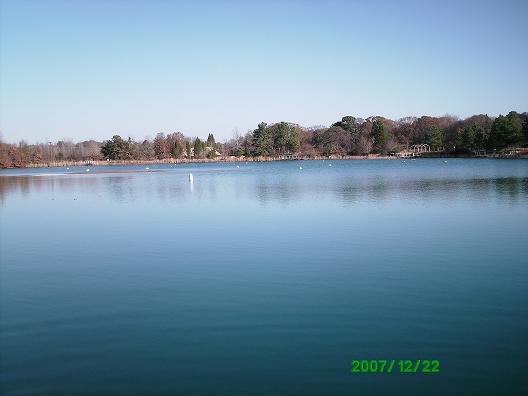 Athens Scuba Park