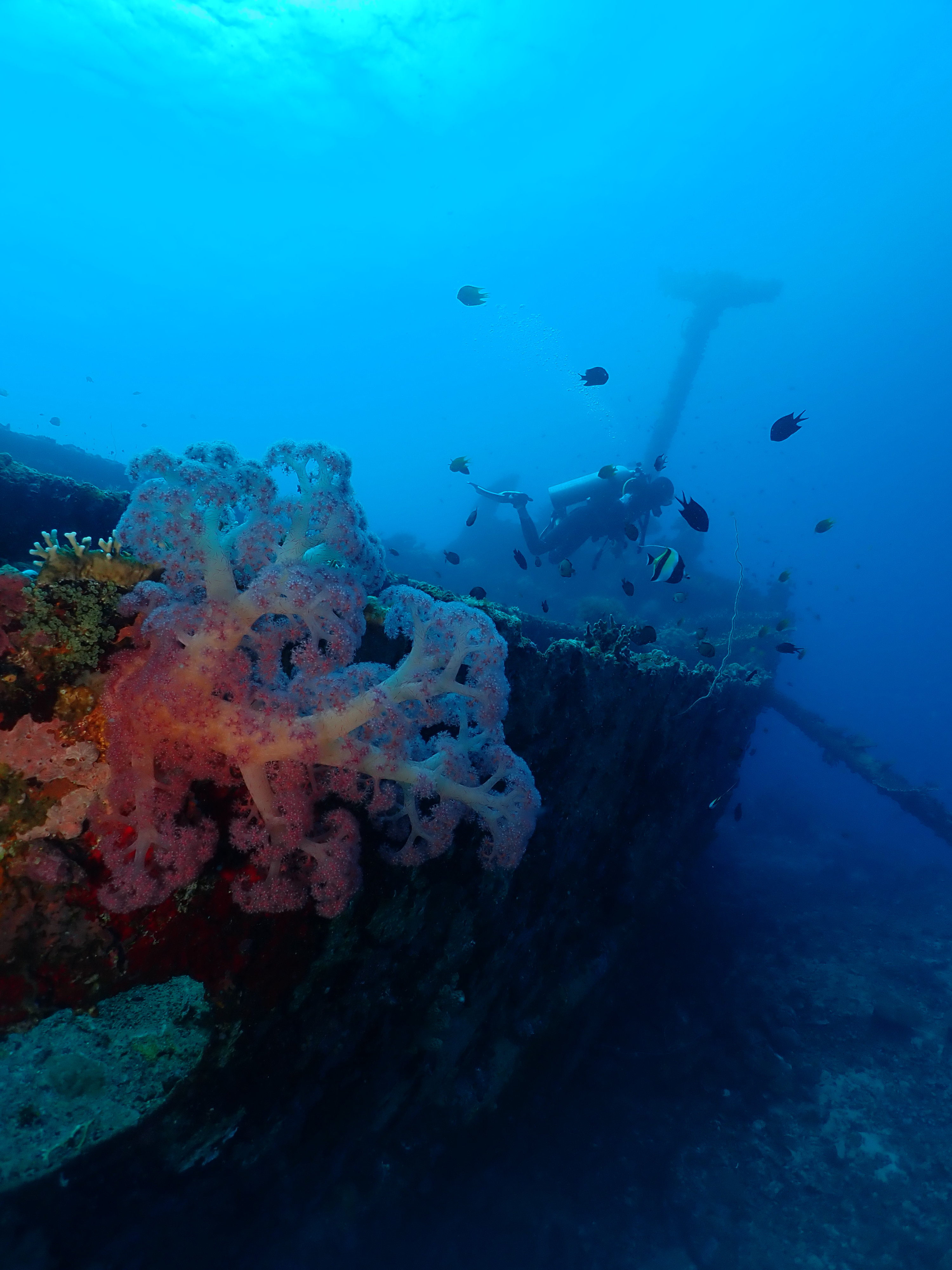 Atun Wreck dive site