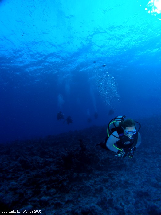 Baani Explorer Maldives 2005