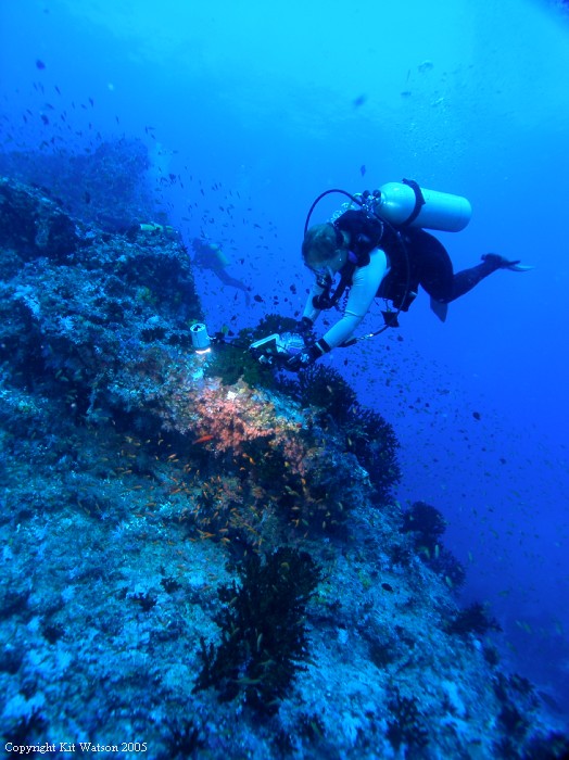 Baani Explorer Maldives 2005