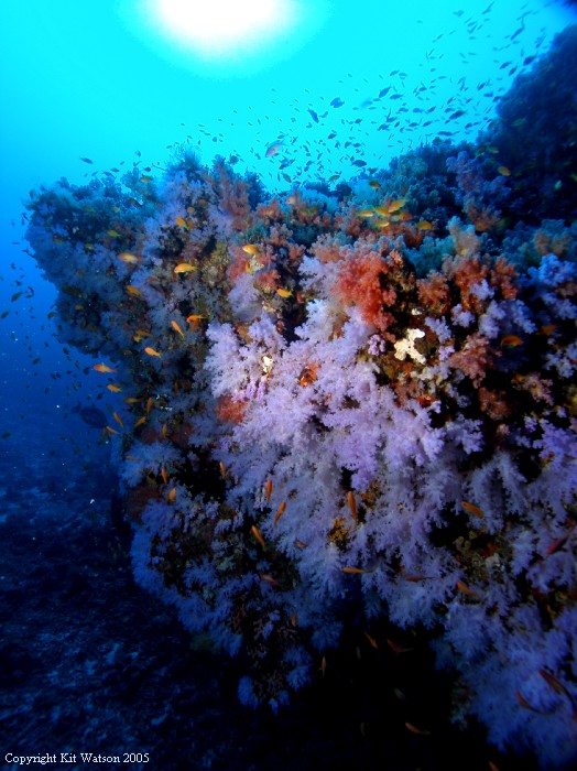 Baani Explorer Maldives 2005