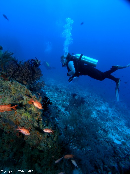 Baani Explorer Maldives 2005