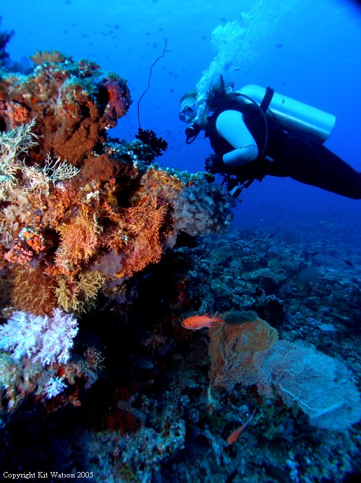 Baani Explorer Maldives 2005