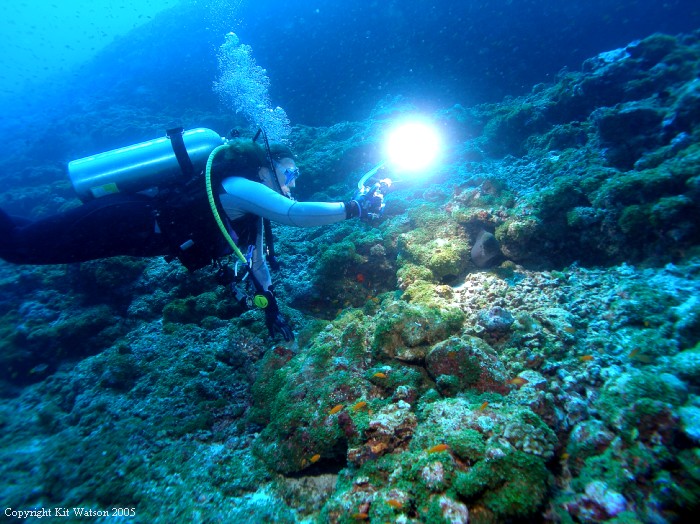 Baani Explorer Maldives 2005