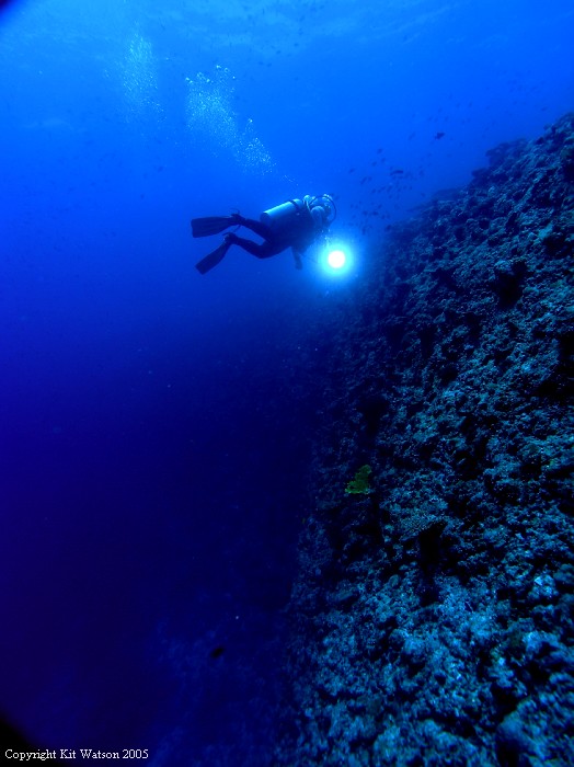 Baani Explorer Maldives 2005