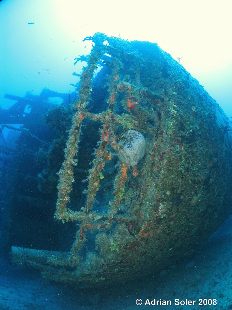 Bahamas Wreck - 1