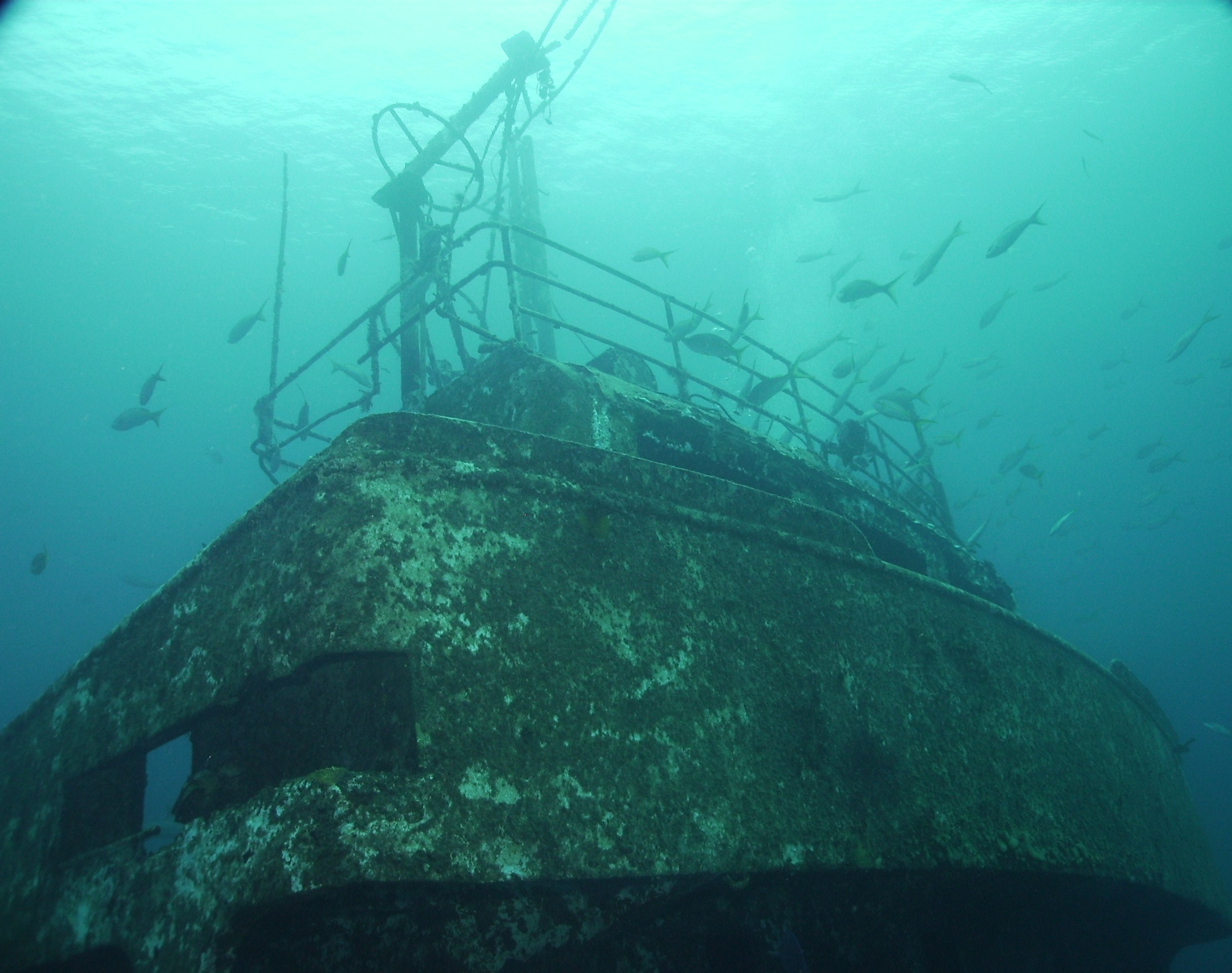 Bahamas Wreck Dive