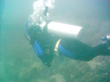 Balai dive