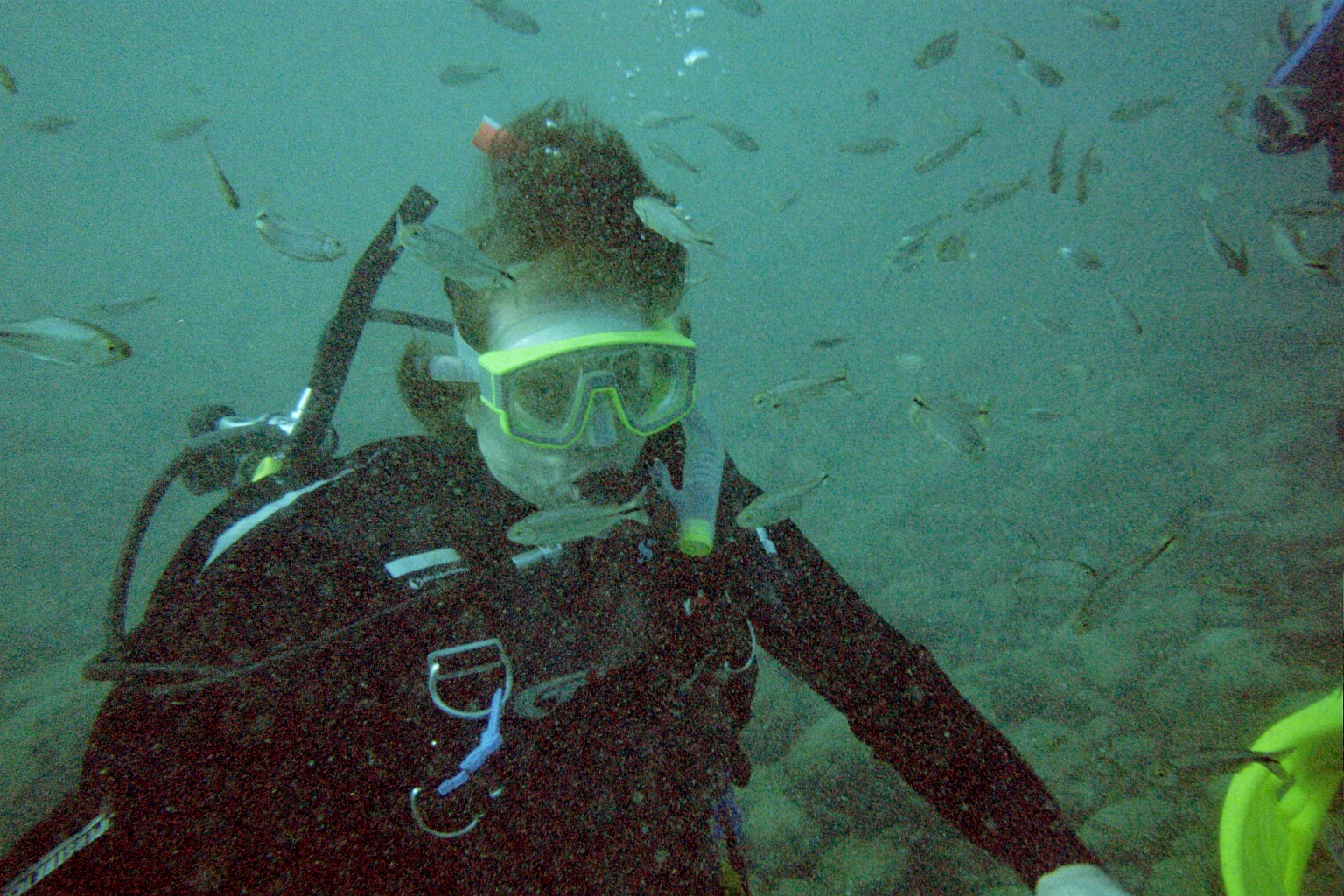 Balmorhea dive 2006