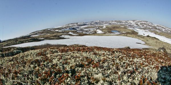 Barents Sea