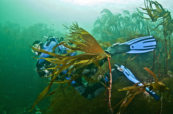 Barents Sea