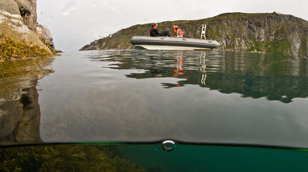 Barents Sea