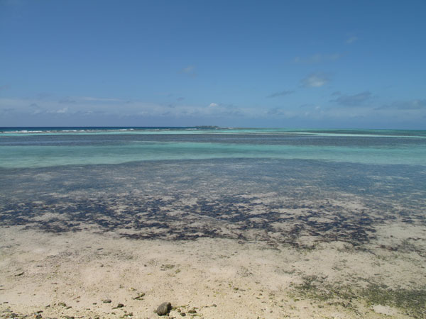 Beach Front