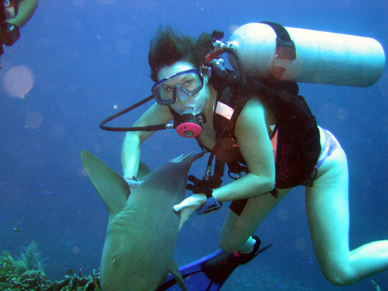 Bean with Nurse shark